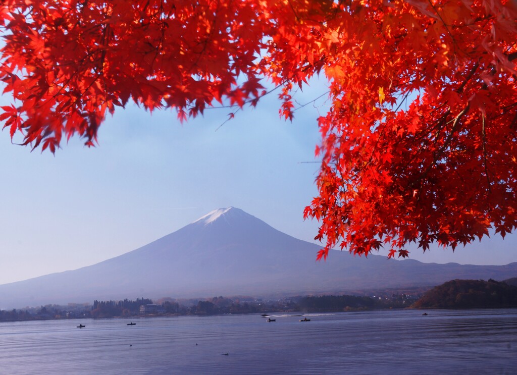 河口湖紅葉３