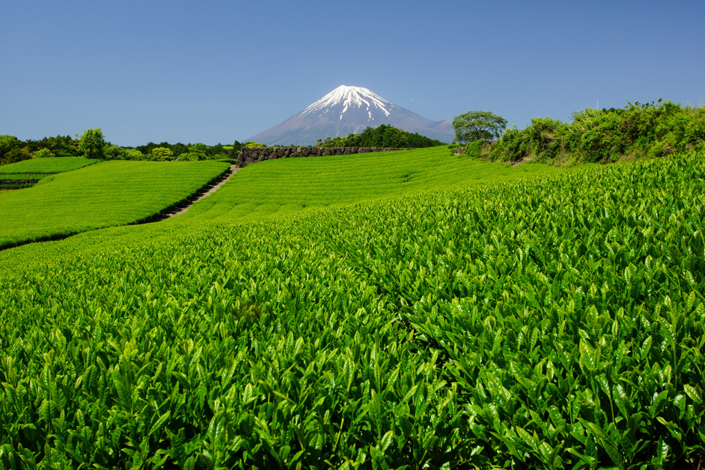 消えゆく風景