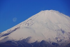 久しぶりのご対面