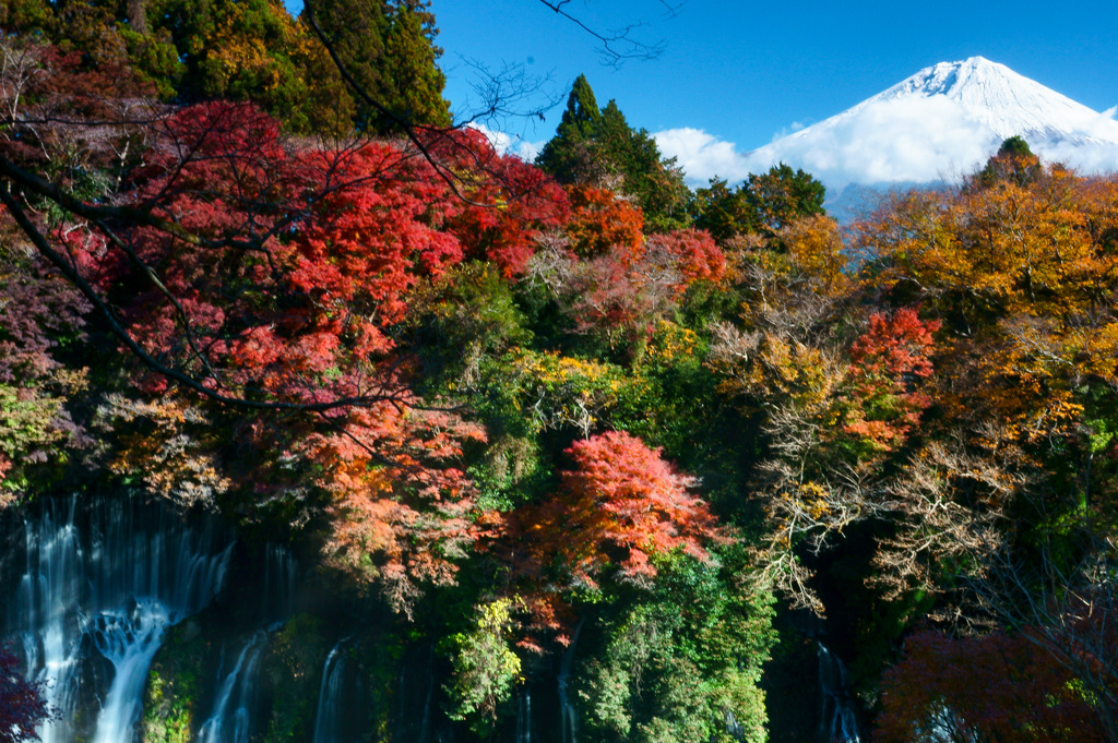 晩秋の滝