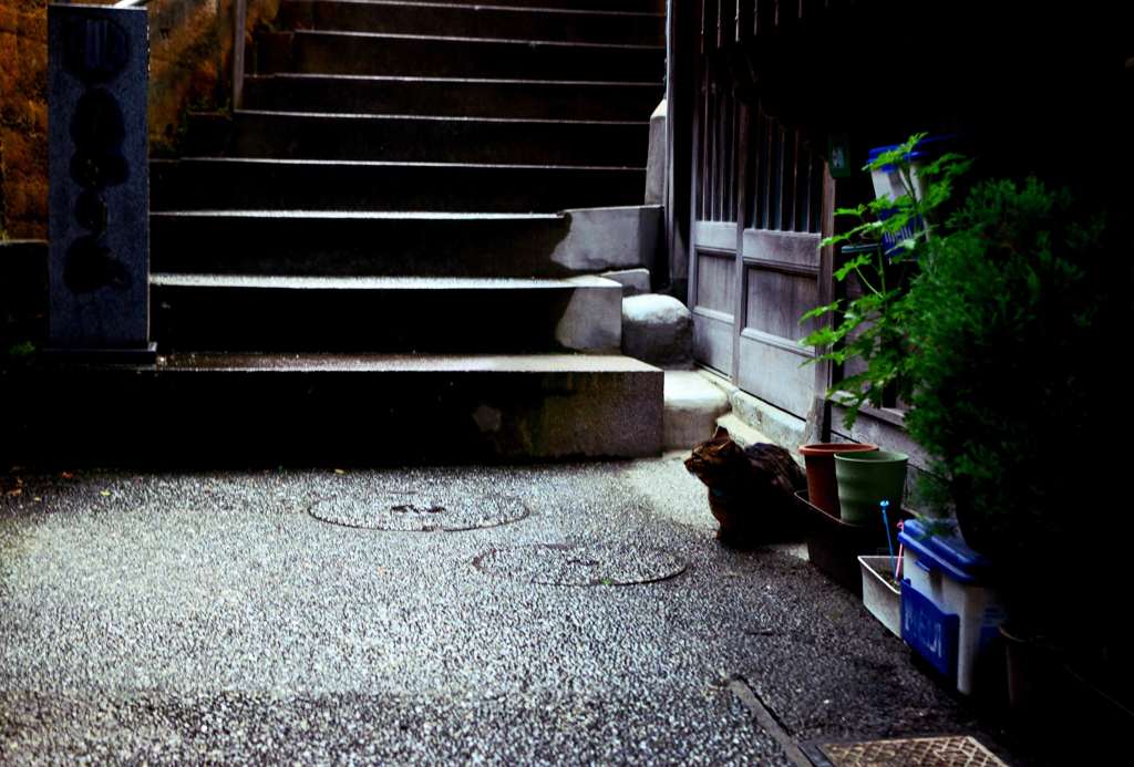 雨やどり