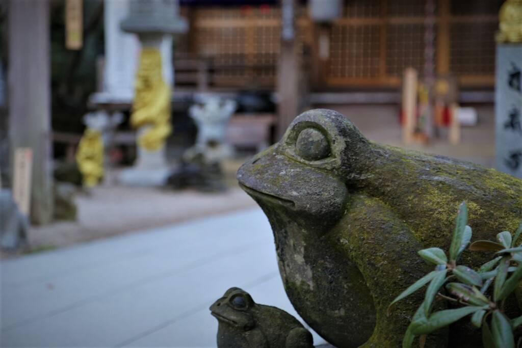 石化...