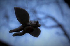 空飛ぶ。。。