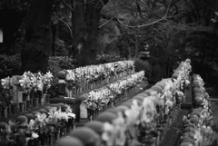 Tokyo snaps 22