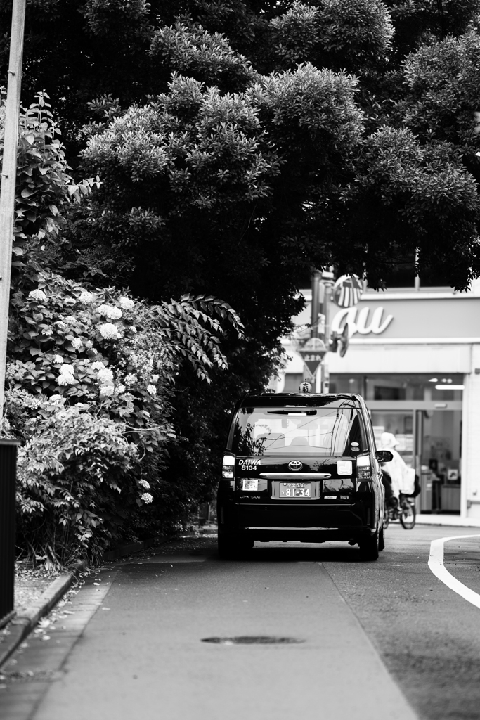 Tokyo snaps 15