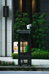 Tokyo snaps 29