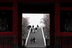 Tokyo snaps 21