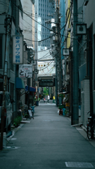 Tokyo snaps 12