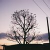 Blue hour ? 3