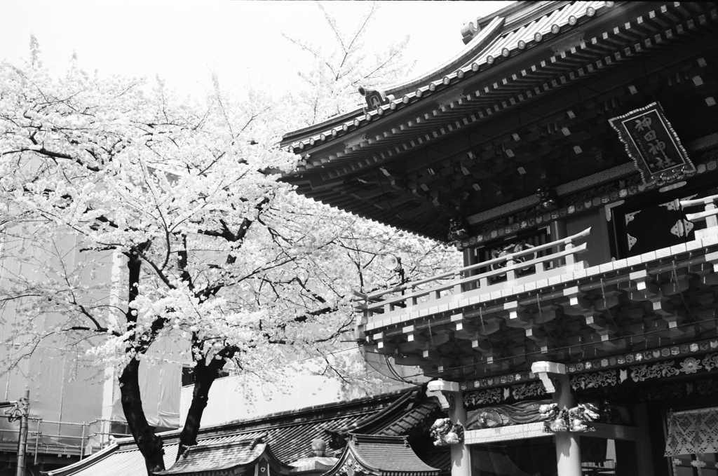 Kanda Myojin Shrine