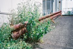 The rust guardrail