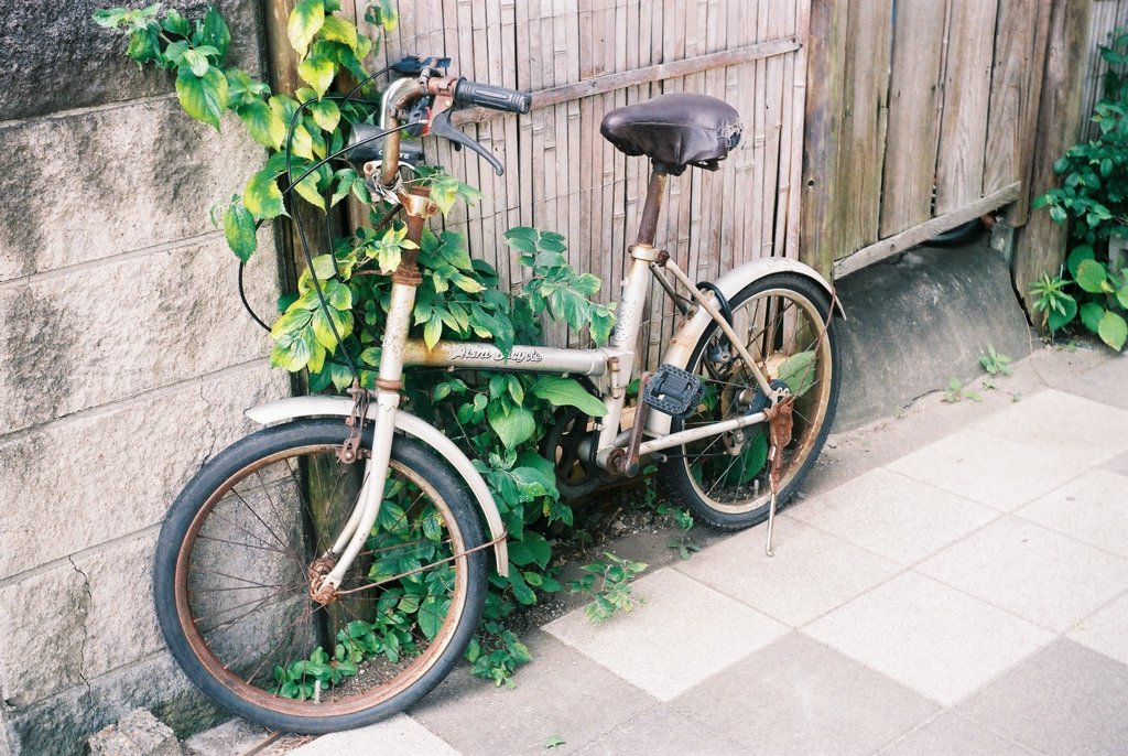 The abandoned bicycle
