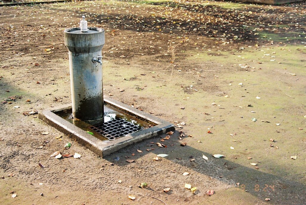 The drinking fountains