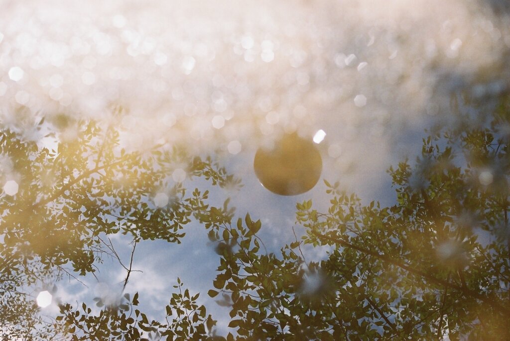the another world
