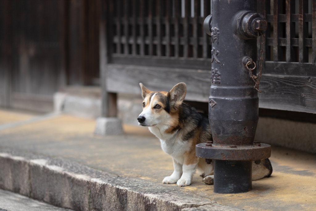 路地裏