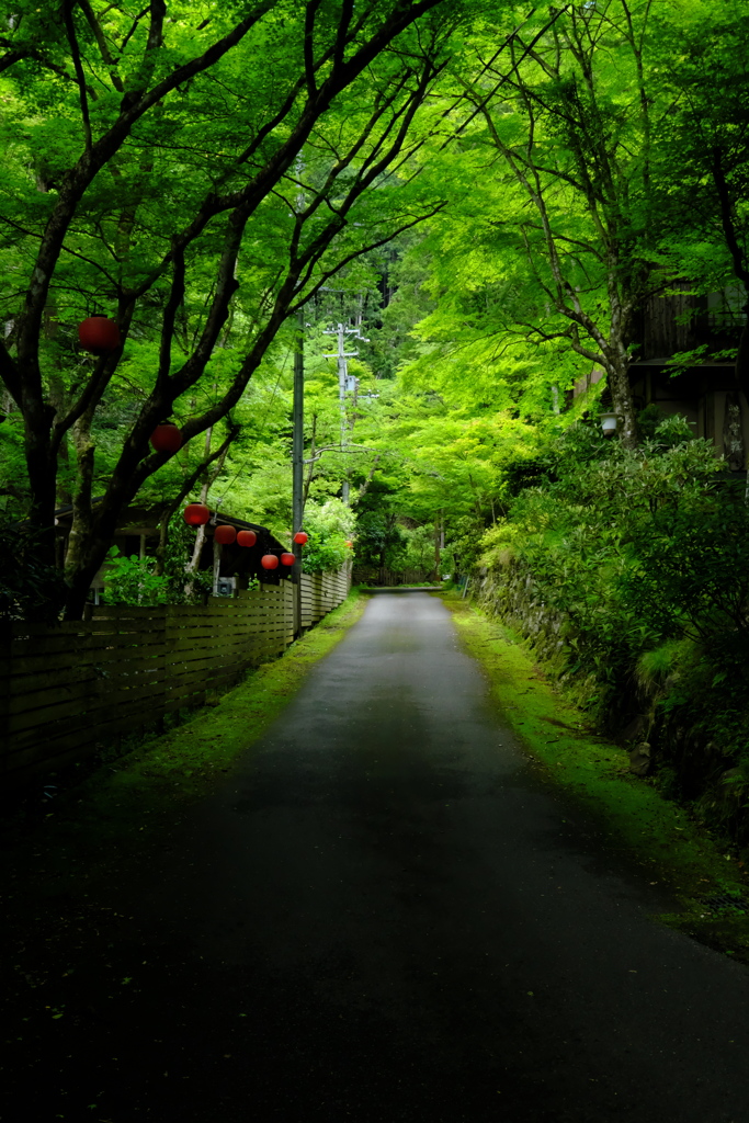 雲ケ畑へ