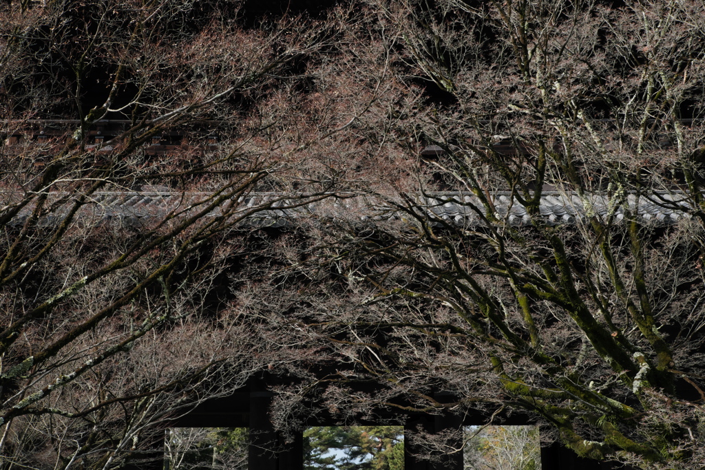 南禅寺山門冬景色