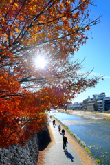 いつもの鴨川