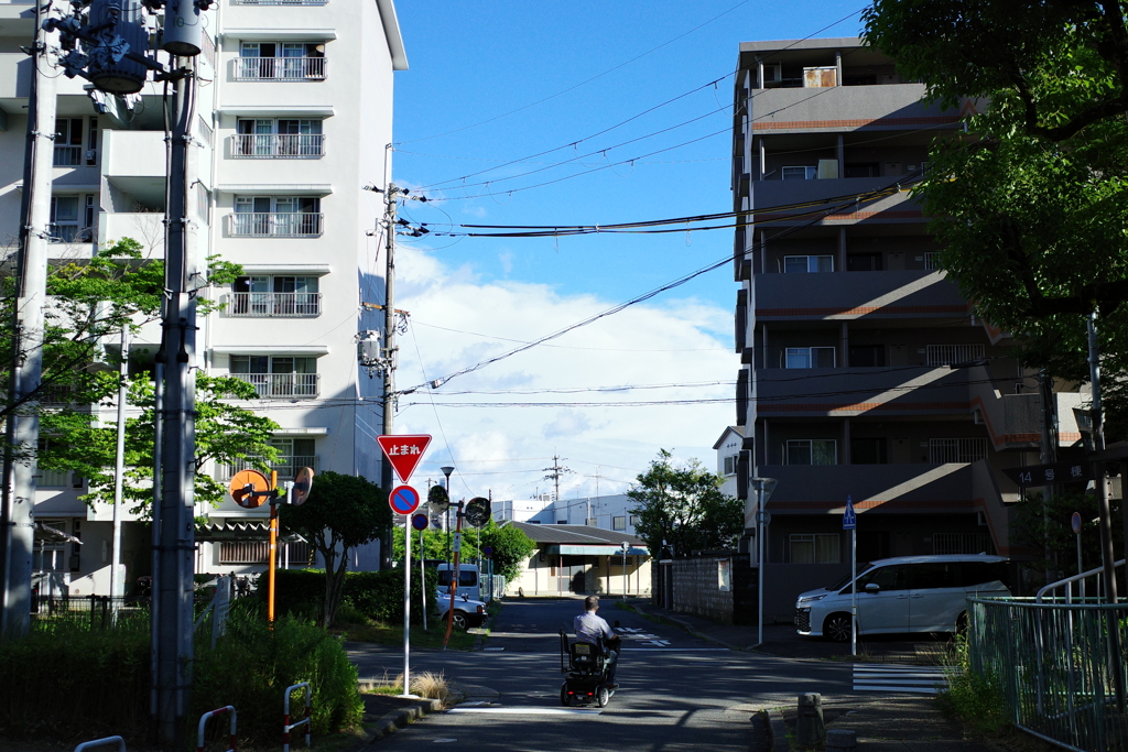 夏に続く道
