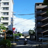 夏に続く道