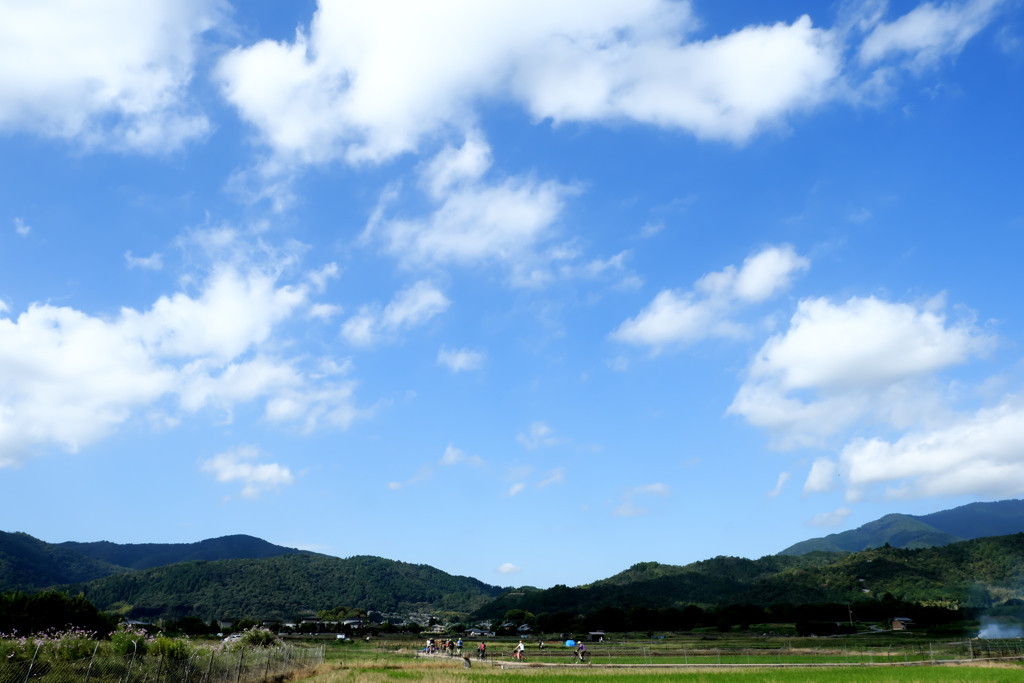 嵯峨野8