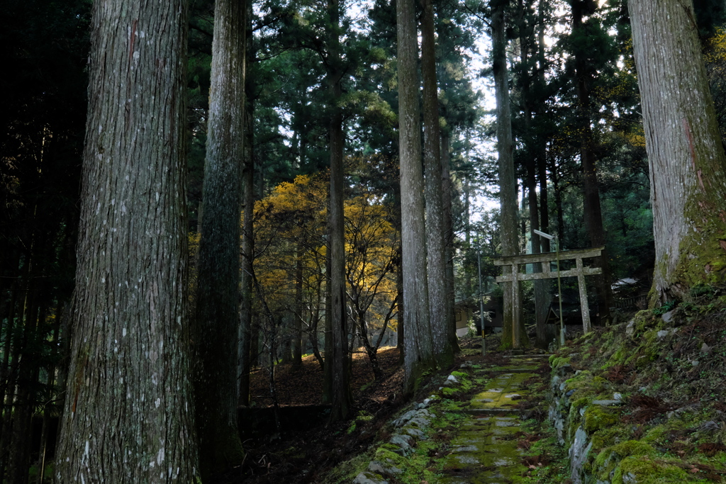 道風神社参道