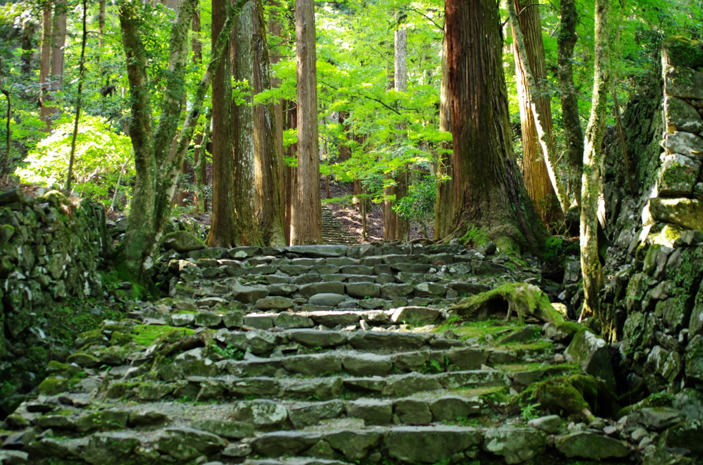 平成二十六年五月京都栂尾高山寺