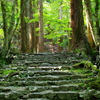 平成二十六年五月京都栂尾高山寺