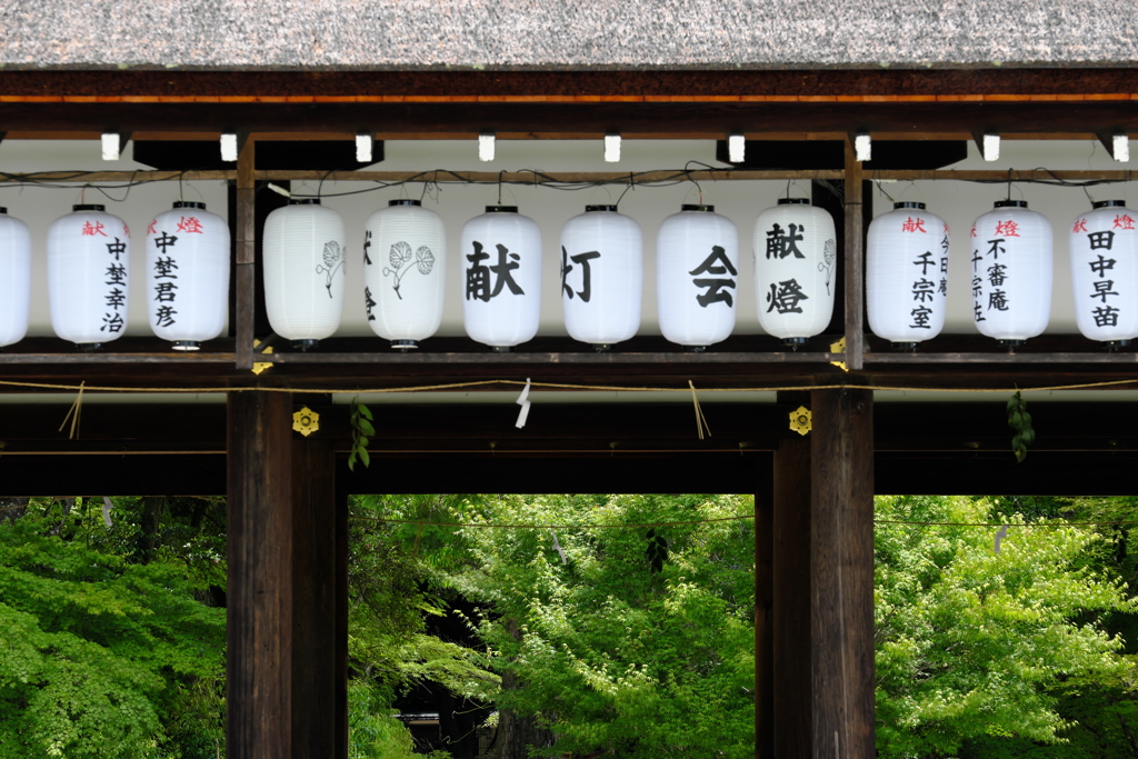 外幣殿と新緑