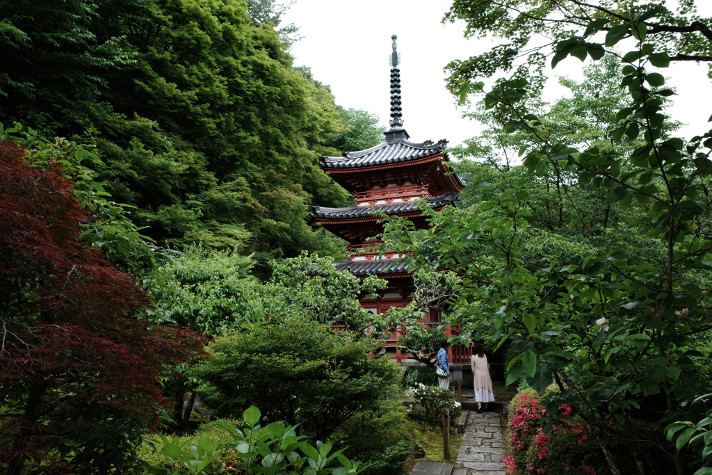 三室戸寺三重塔