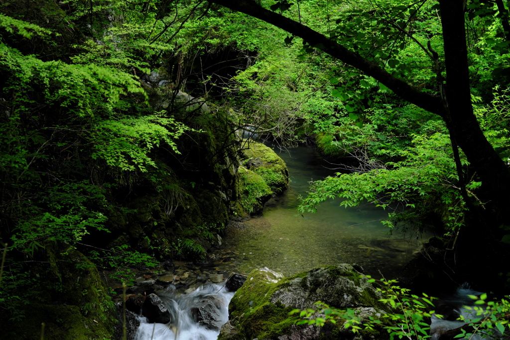 鴨川の源流へ