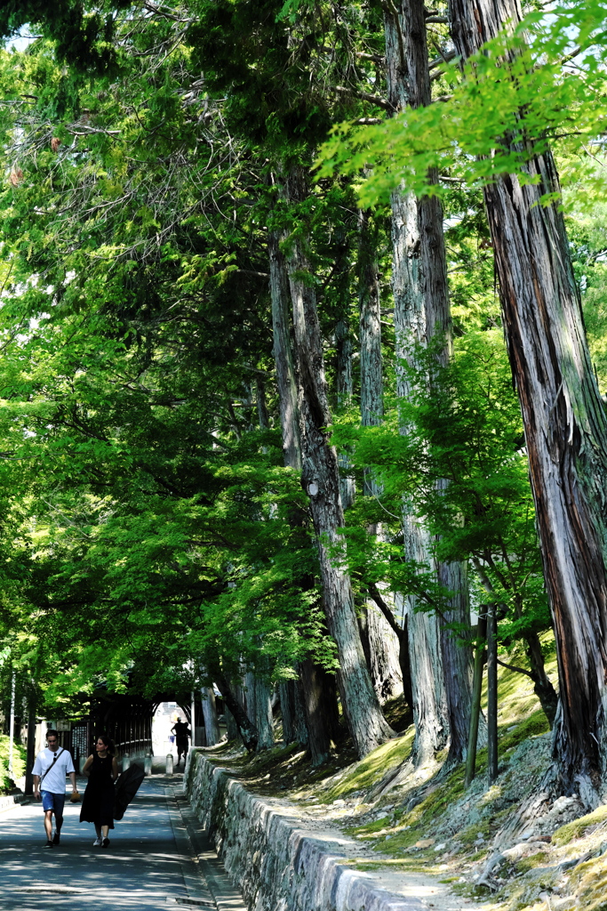 東福寺参道