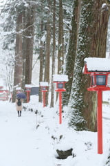 奥の院に続く参道。