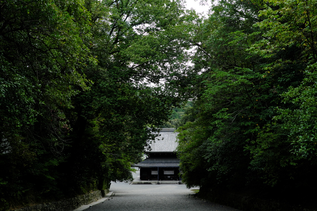 泉涌寺1