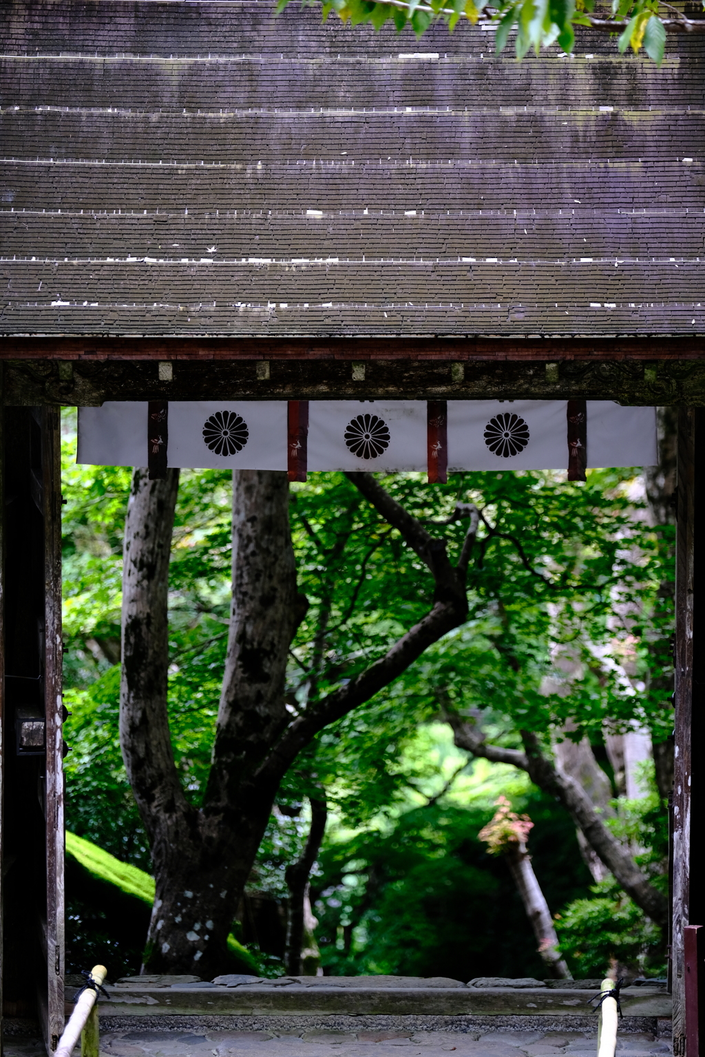 寂光院