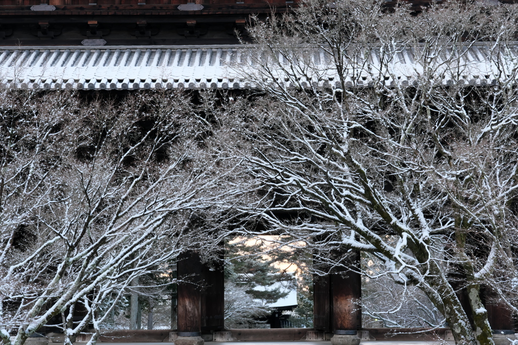 南禅寺3
