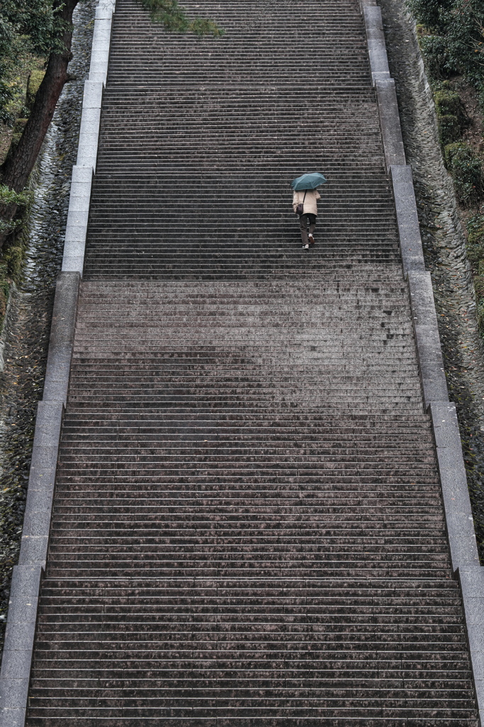 明治天皇陵参道