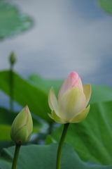 夏の空気