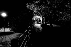 夜の公園