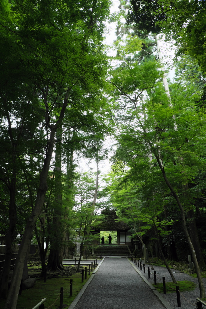 法然院へ