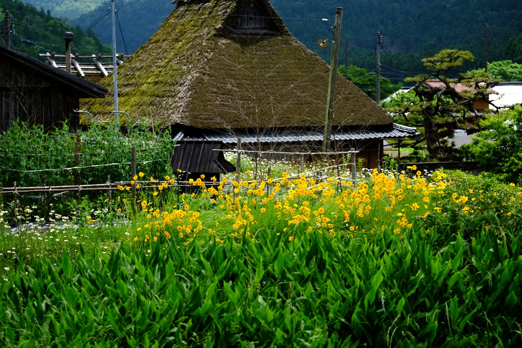 南丹市美山