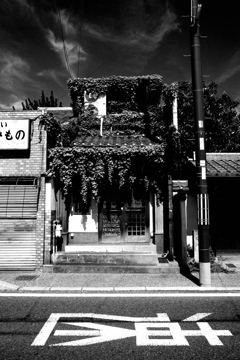 光陰