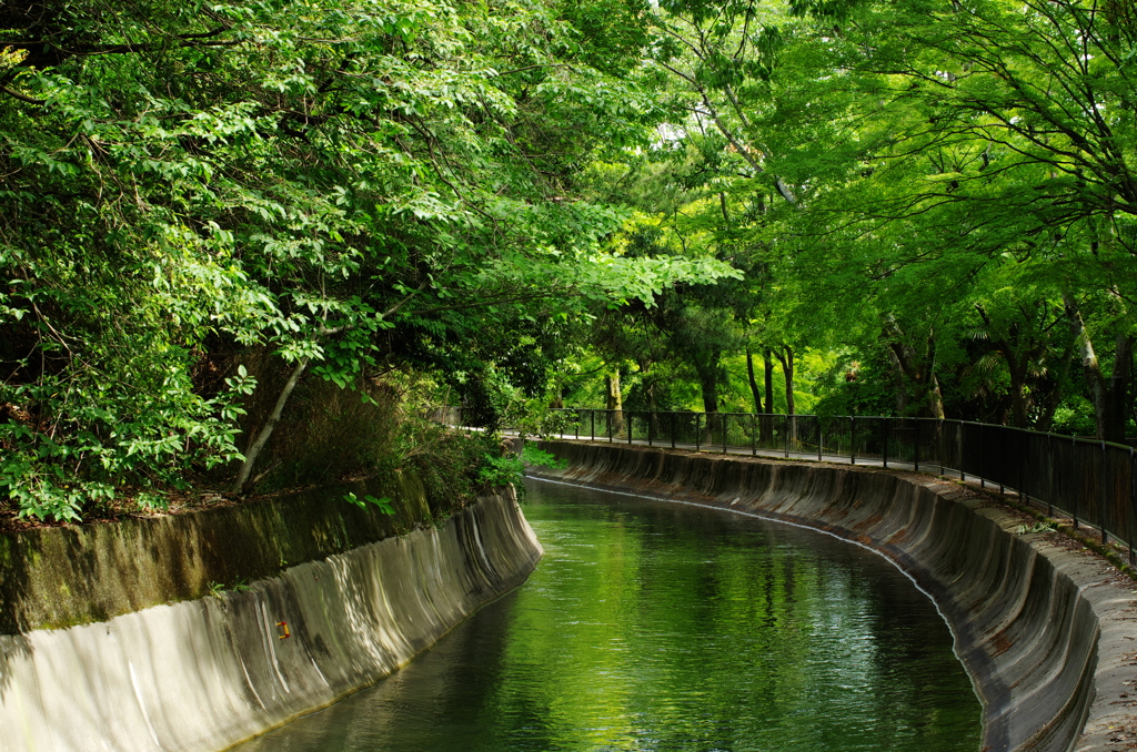 山科疏水