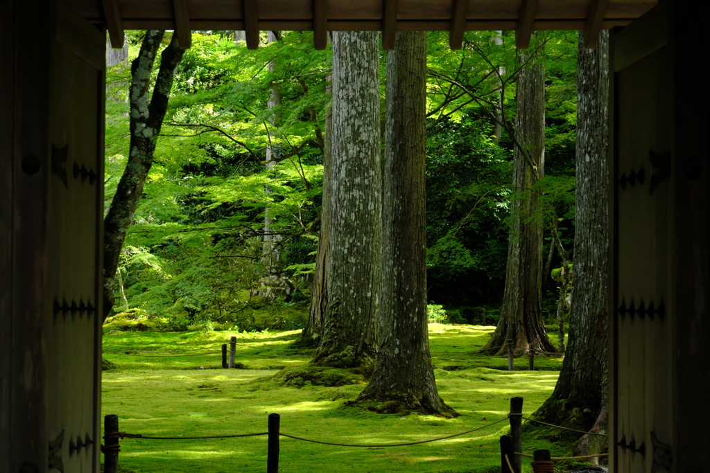 三千院5