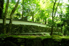 高山寺石水院築地塀