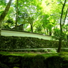 高山寺石水院築地塀