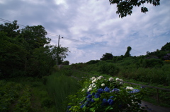 珠洲市の思い出