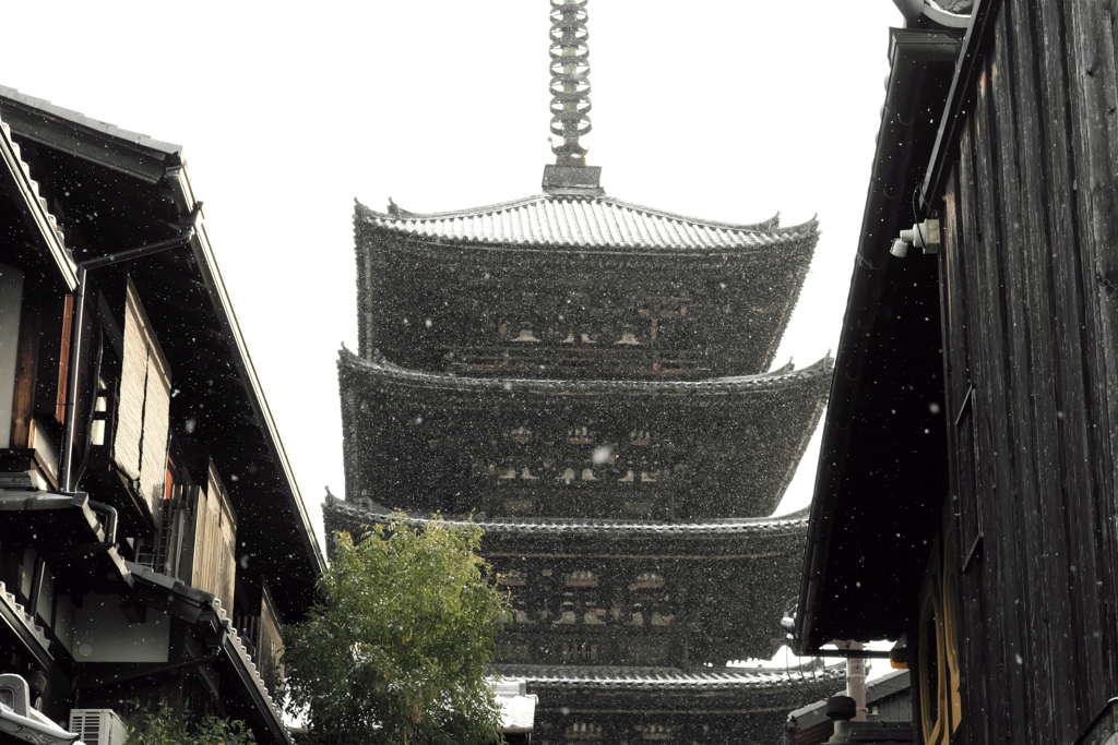 八坂の塔にふる雪