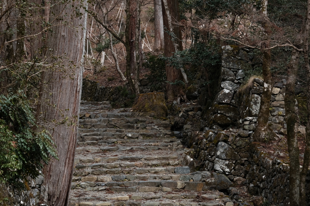 令和五年二月京都栂尾高山寺