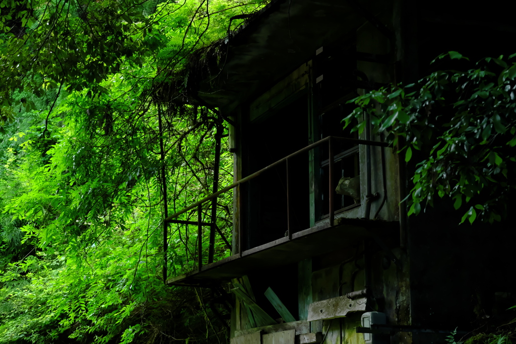 森の中の廃屋